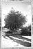 CarlosInSummer-GarysBackYard.jpg